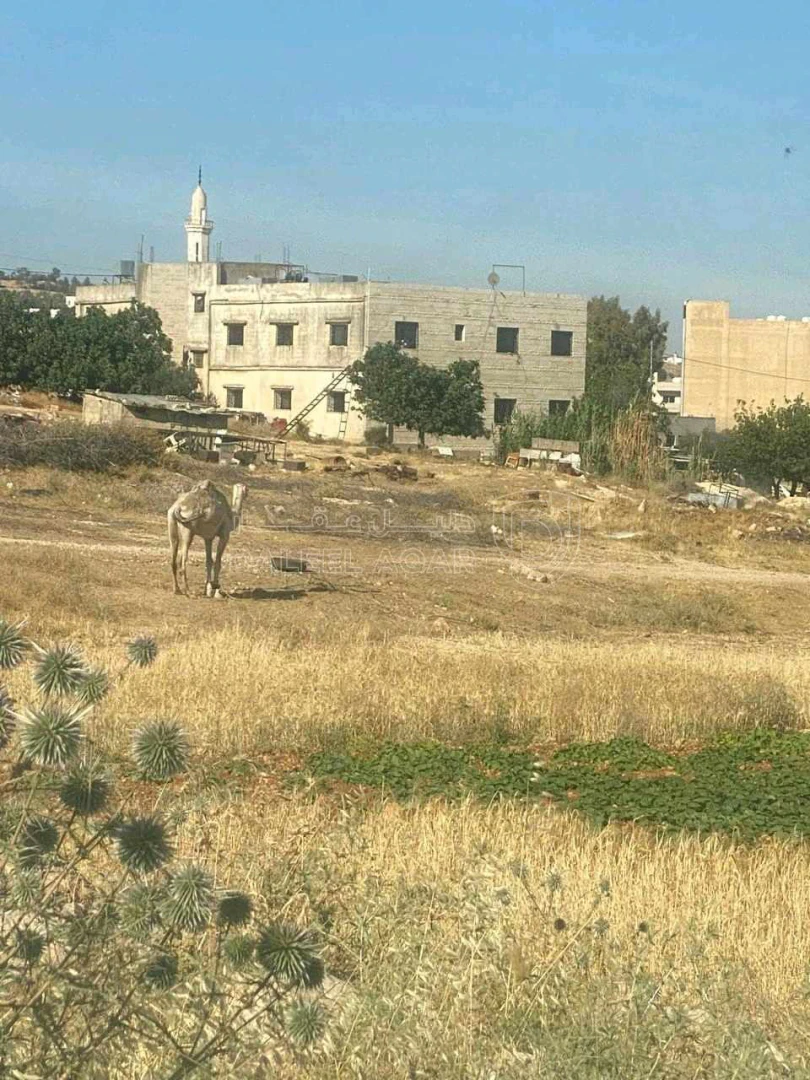 أرض في شفا بدران بالقرب من الجامعة - 220,000 دأ - صورة 1
