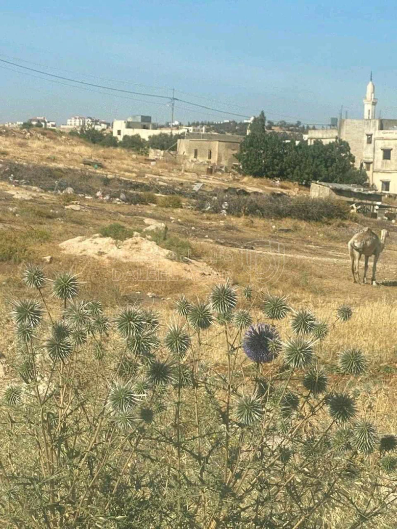 أرض في شفا بدران بالقرب من الجامعة - 220,000 دأ - صورة 1