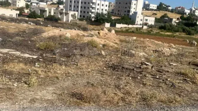 أرض - شفا بدران بالقرب من الجامعة - 220000 دأ