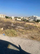 أرض في شفا بدران بالقرب من الجامعة - 220,000 دأ - صورة NaN