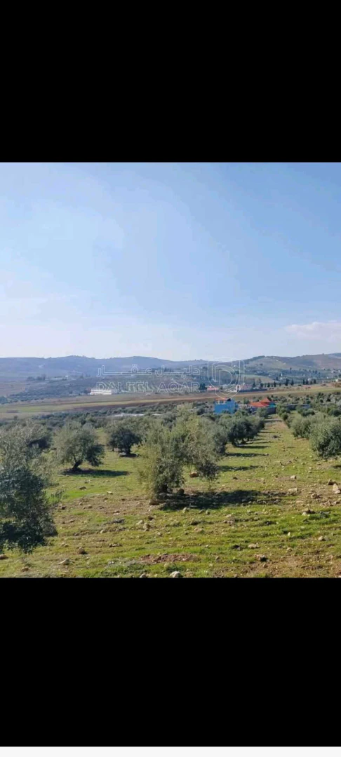 أرض في طريق جرش الزرقاء - 45,000 دأ - صورة 1