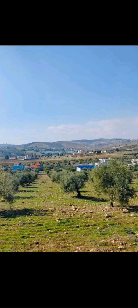 أرض في طريق جرش الزرقاء - 45,000 دأ - صورة 1