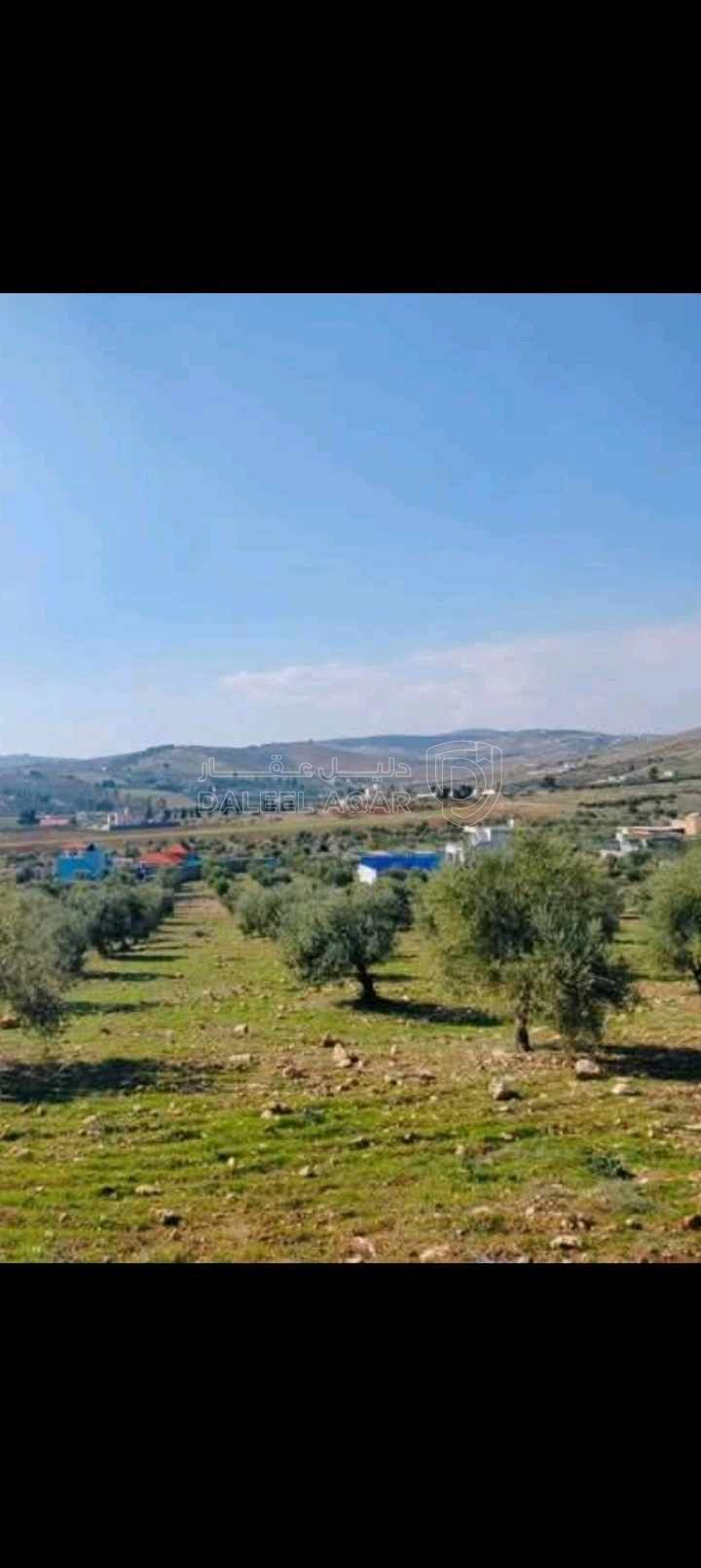 أرض في طريق جرش الزرقاء - 45,000 دأ - صورة 1