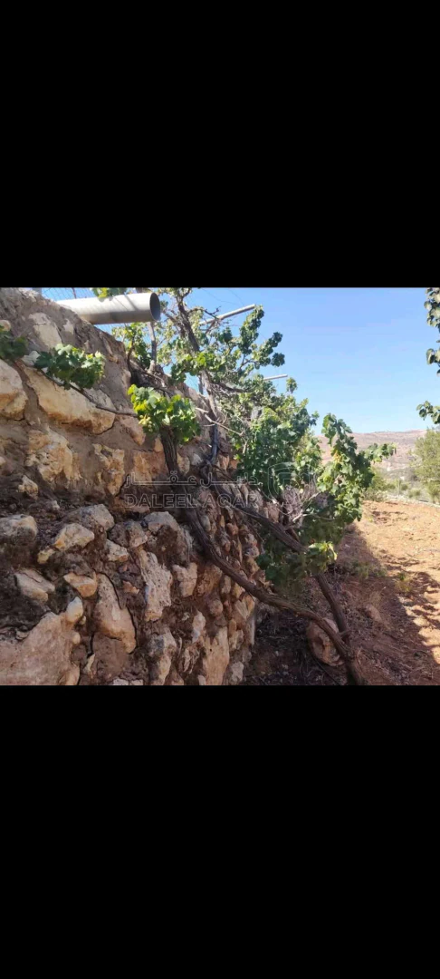 أرض في طريق جرش الزرقاء - 45,000 دأ - صورة 1