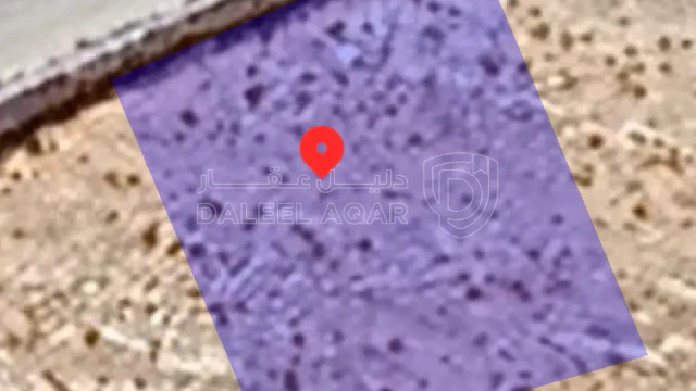أرض في الزرقاء _جريبا  - 40,000 دأ - صورة 1