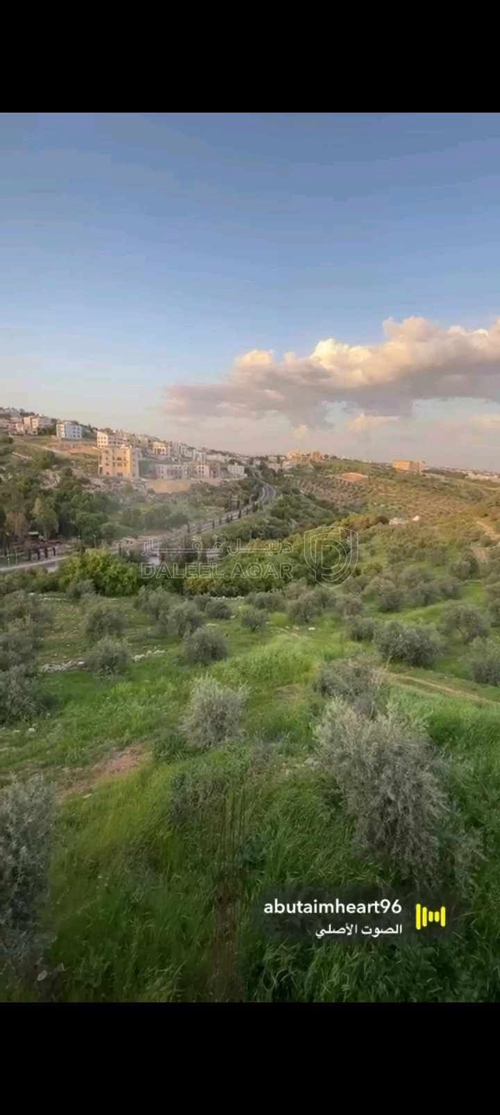 أرض في عمان بدر الجديدة  - 300,000 دأ - صورة 1