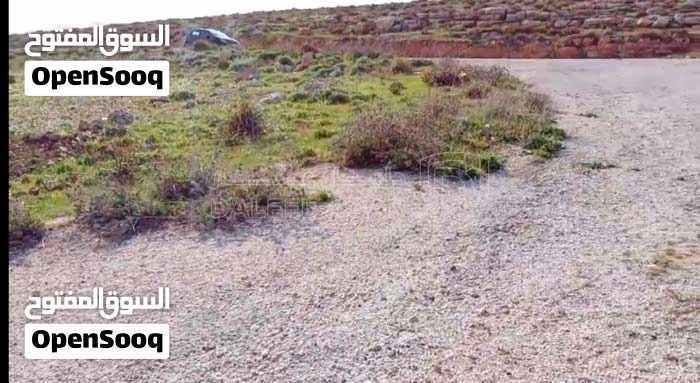 أرض في بلعما - اسكان عمون - قريبه ومطله على الشارع الدولي - 8,500 دأ - صورة 1