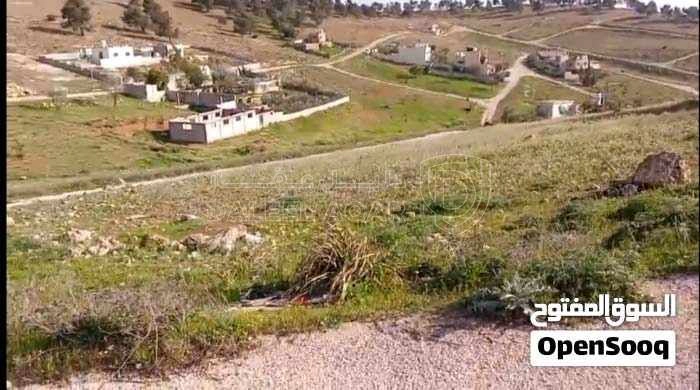 أرض في بلعما - اسكان عمون - قريبه ومطله على الشارع الدولي - 8,500 دأ - صورة 1