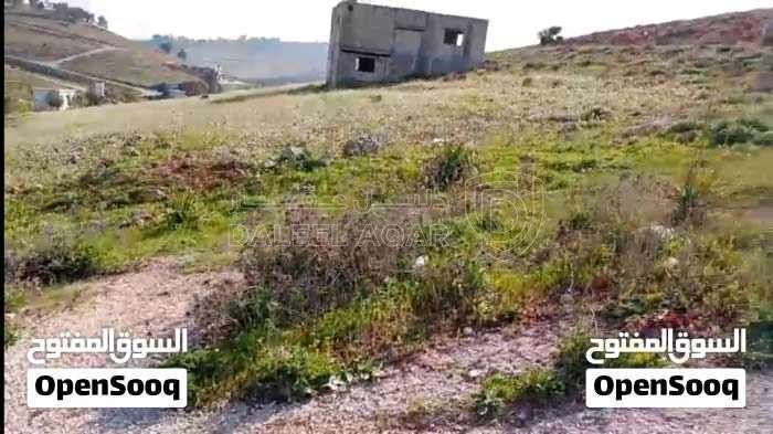 أرض في بلعما - اسكان عمون - قريبه ومطله على الشارع الدولي - 8,500 دأ - صورة 1