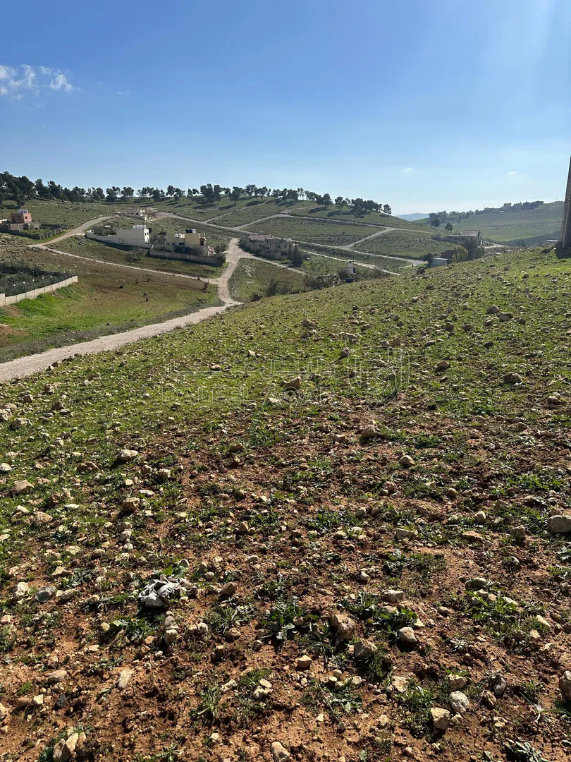 أرض في بلعما - اسكان عمون - قريبه ومطله على الشارع الدولي - 9,500 دأ - صورة 1