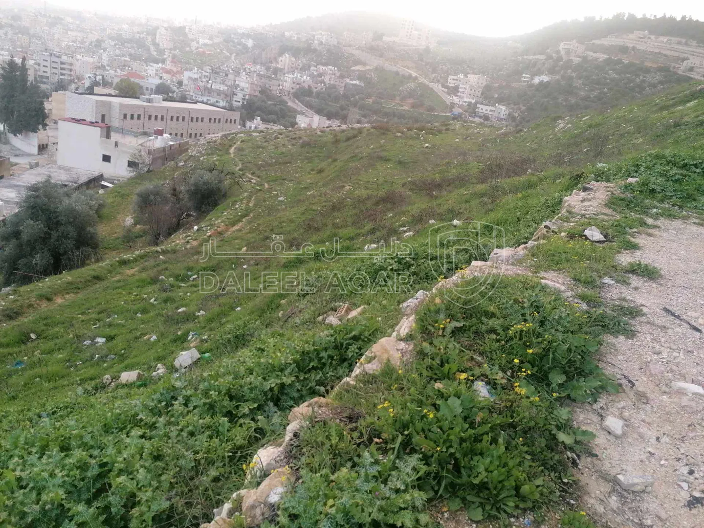 أرض في عجلون / البلد / قرب مدرسه عجلون الثانويه للبنين - 55,000 دأ - صورة 1