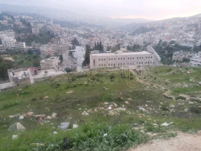 أرض في عجلون / البلد / قرب مدرسه عجلون الثانويه للبنين - 55,000 دأ - صورة NaN