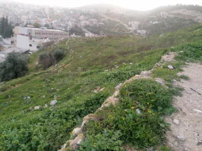 أرض في عجلون / البلد / قرب مدرسه عجلون الثانويه للبنين - 55,000 دأ - صورة NaN