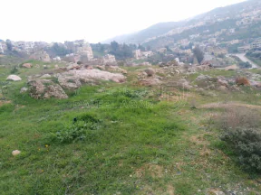 أرض في عجلون / البلد / قرب مدرسه عجلون الثانويه للبنين - 55,000 دأ - صورة NaN