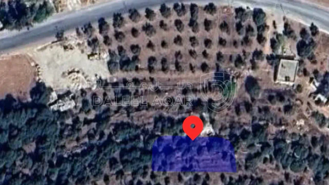 أرض - عمان الغربية بدر الجديده - 280000 دأ