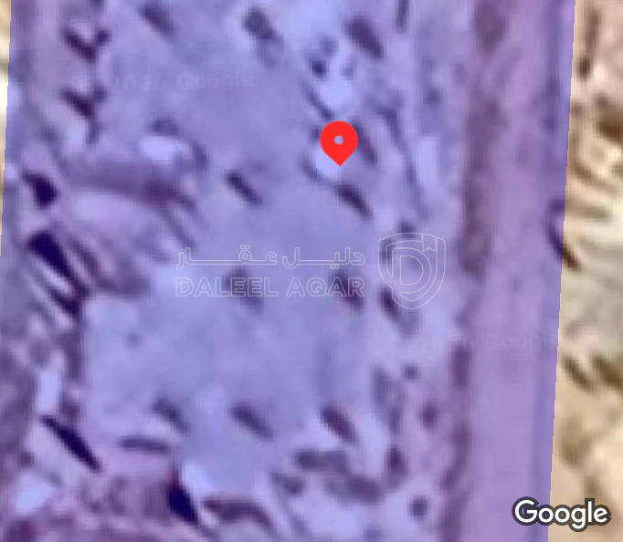 فيلا/منزل في عمان.. الجيزة.. ارينبة الغربيه.. - 55,000 دأ - صورة 1