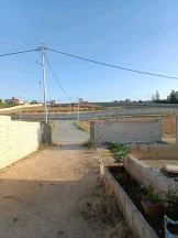 فيلا/منزل في عمان.. الجيزة.. ارينبة الغربيه.. - 55,000 دأ - صورة NaN