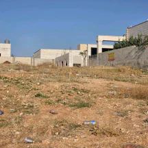 أرض في جاوا بالقرب من معصرة الزيتون - 50,000 دأ - صورة NaN