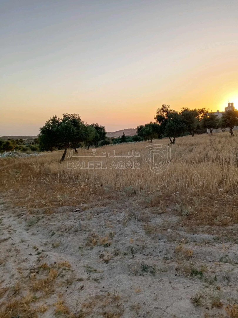 أرض في 753م سكن ب على شارعين اسكان الصيادله ابو الغزلان - 50,000 دأ - صورة 1