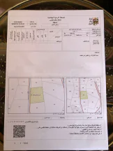 أرض في بدر الجديدة  - 520,000 دأ - صورة NaN