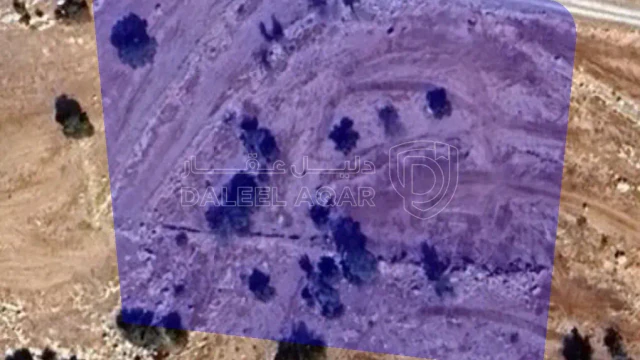 أرض في عجلون ارحابا - 90,000 دأ - صورة 1