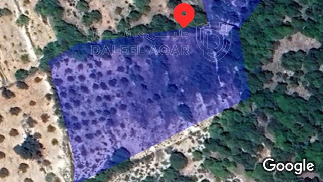 أرض في عجلون عين جنا البخاش - 150,000 دأ - صورة NaN