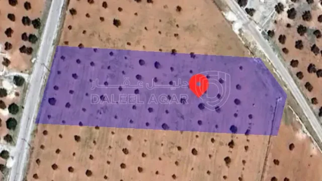 أرض في مادبا ذيبان  - 17,000 دأ - صورة 1