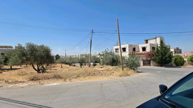 أرض - الجويدة - حي الإيمان  - 100000 دأ