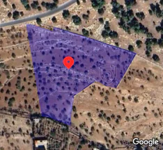 أرض في جرش - ثغرة عصفور - عراق الابيض  - 130,000 دأ - صورة NaN