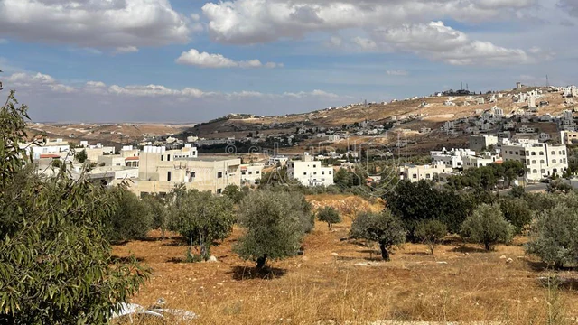 أرض في عمان شفا بدران - 115,000 دأ - صورة 1