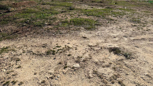 أرض في ارض للبيع في العامرية ناعور إطلالة أبدية بسعر مغري - 78,000 دأ - صورة 1