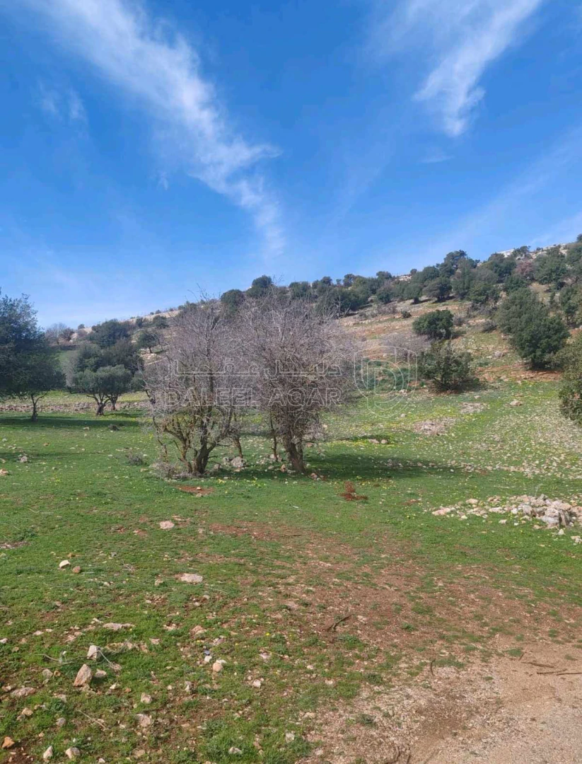 أرض في عجلون - سامتا خلف جامعه عجلون الوطنيه - 15,000 دأ - صورة 1