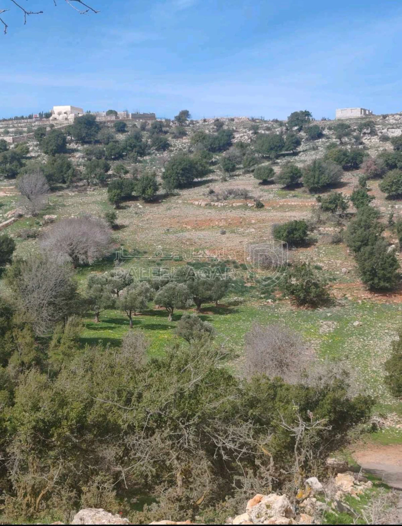أرض في عجلون - سامتا خلف جامعه عجلون الوطنيه - 15,000 دأ - صورة 1
