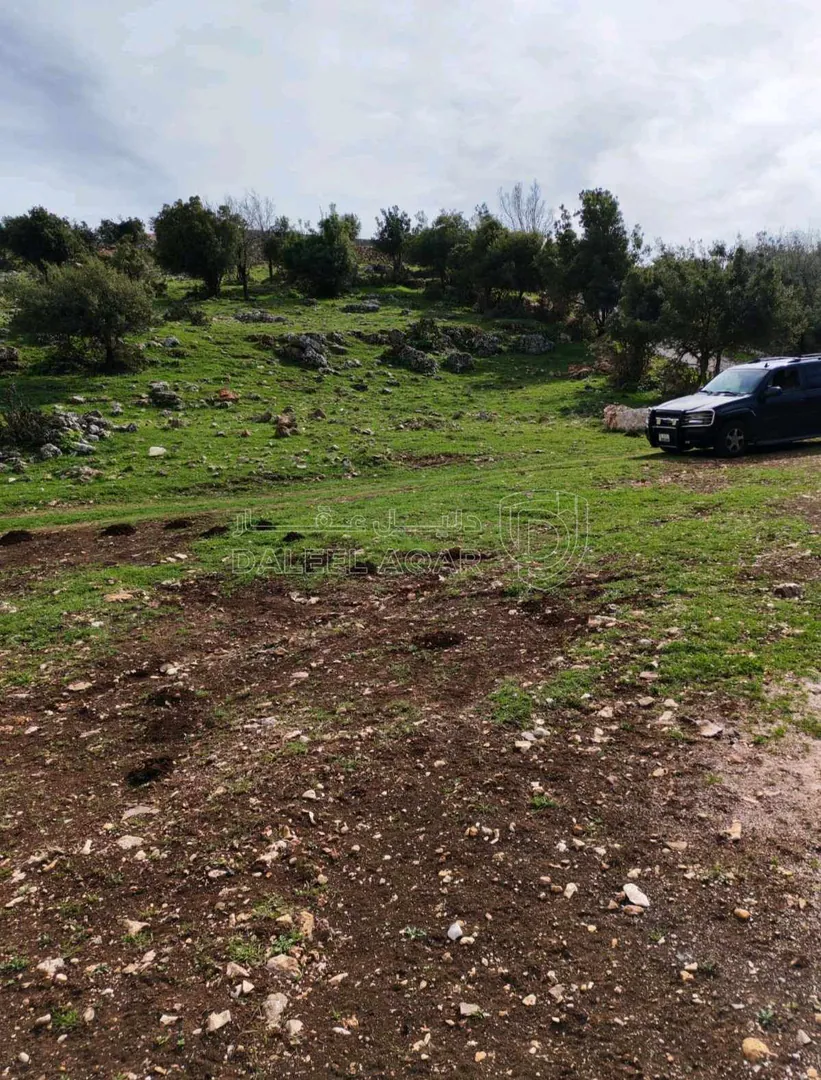 أرض في عجلون - سامتا خلف جامعه عجلون الوطنيه - 15,000 دأ - صورة 1