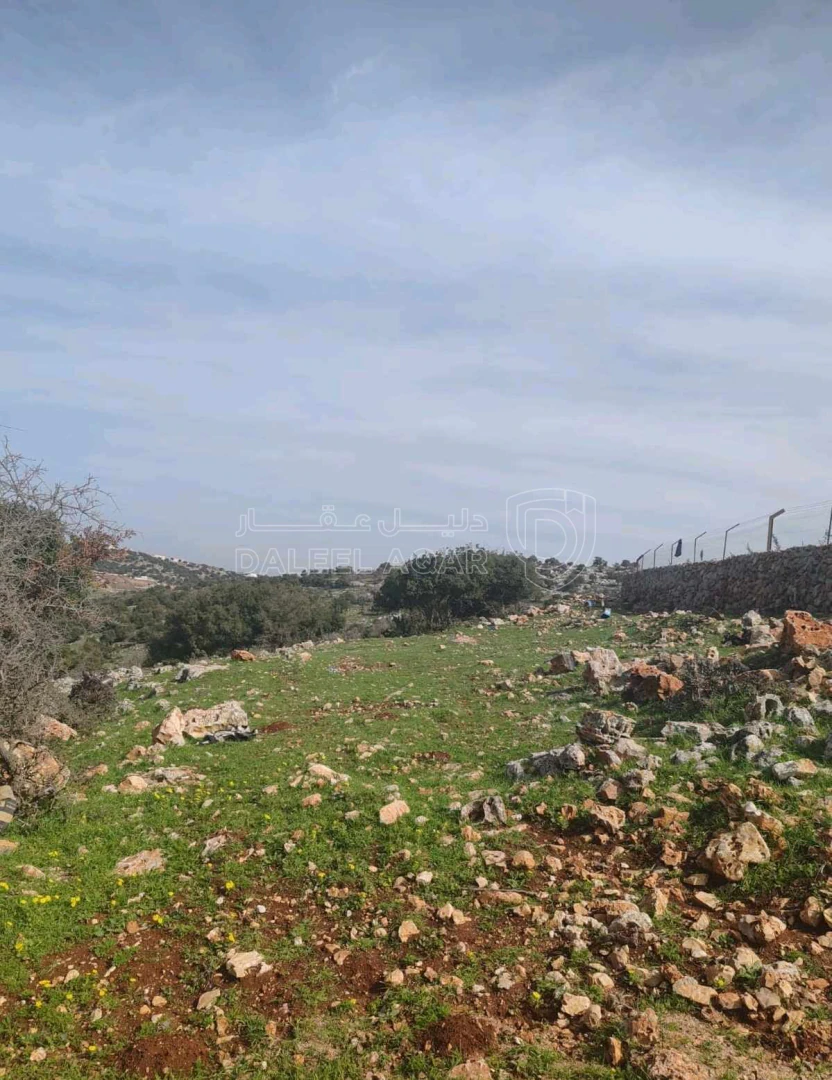 أرض في عجلون - سامتا خلف جامعه عجلون الوطنيه - 15,000 دأ - صورة 1