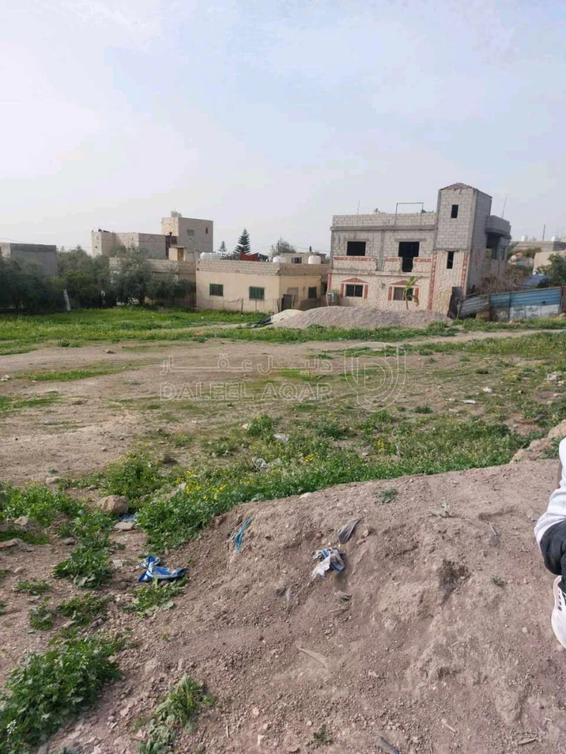 أرض في موقع مميز اربد الأغوار الشمالية طبقة فحل  - 25,000 دأ - صورة 1