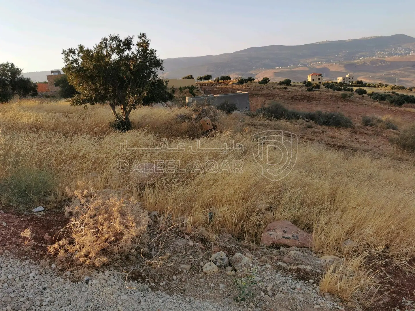 أرض في السلط الصبيحي  - 70,000 دأ - صورة 3