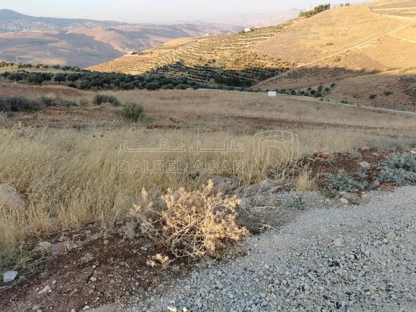 أرض في السلط الصبيحي  - 70,000 دأ - صورة 5