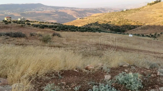 أرض في السلط الصبيحي  - 70,000 دأ - صورة 1