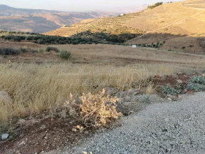 أرض في السلط الصبيحي  - 70,000 دأ - صورة NaN