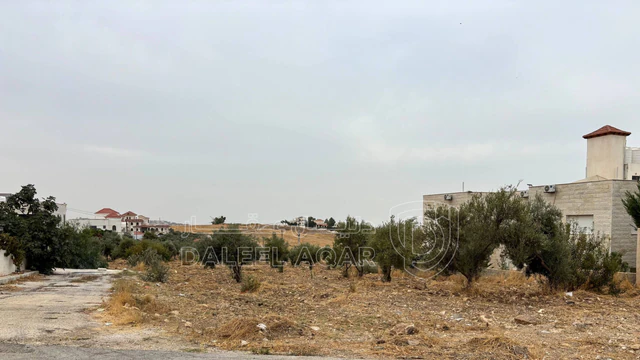 أرض في السرو الجنوبي خلف كازية المناصير مقابل جامعة عمان  - 199,000 دأ - صورة NaN