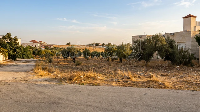 أرض في السرو الجنوبي خلف كازية المناصير مقابل جامعة عمان  - 199,000 دأ - صورة NaN