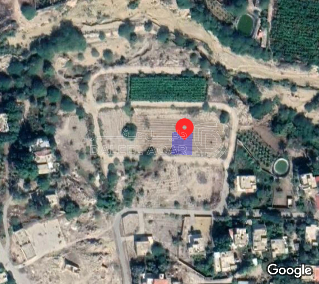 أرض في الرامه حوض الشاغور قطعه رقم 165 - 14,000 دأ - صورة 1