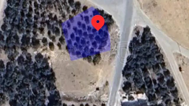 أرض في ارض مزروعه زيتون للبيع  - 5,000 دأ - صورة 1