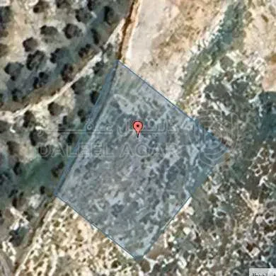 أرض في عمان - العال و الروضة - 76,999 دأ - صورة 1