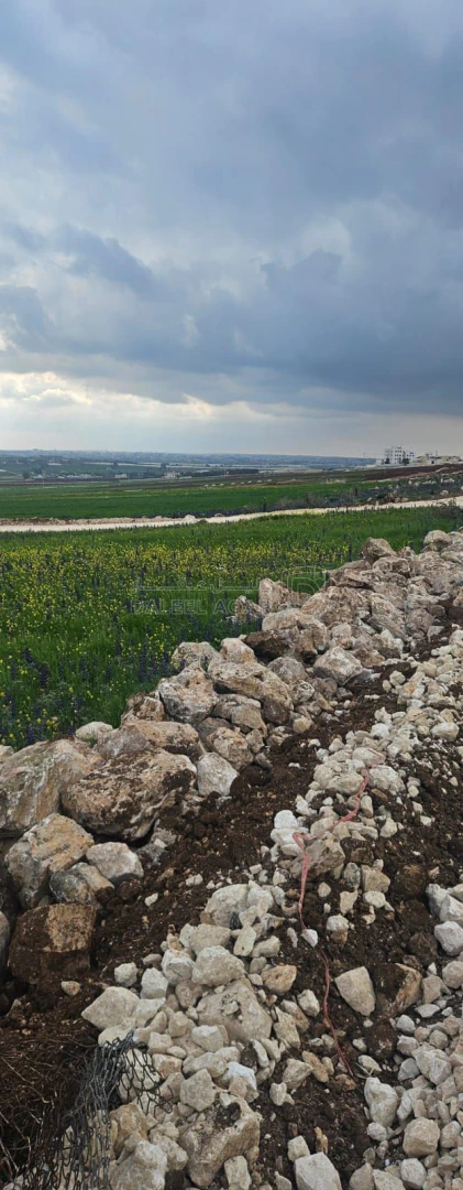 أرض في عمان - برازين السامك - 88,500 دأ - صورة 1