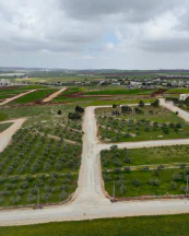 أرض في عمان - برازين السامك - 88,500 دأ - صورة NaN