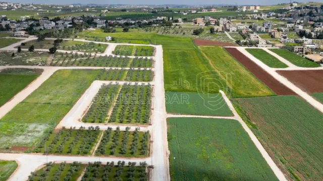 أرض - عمان - برازين السامك - 88500 دأ