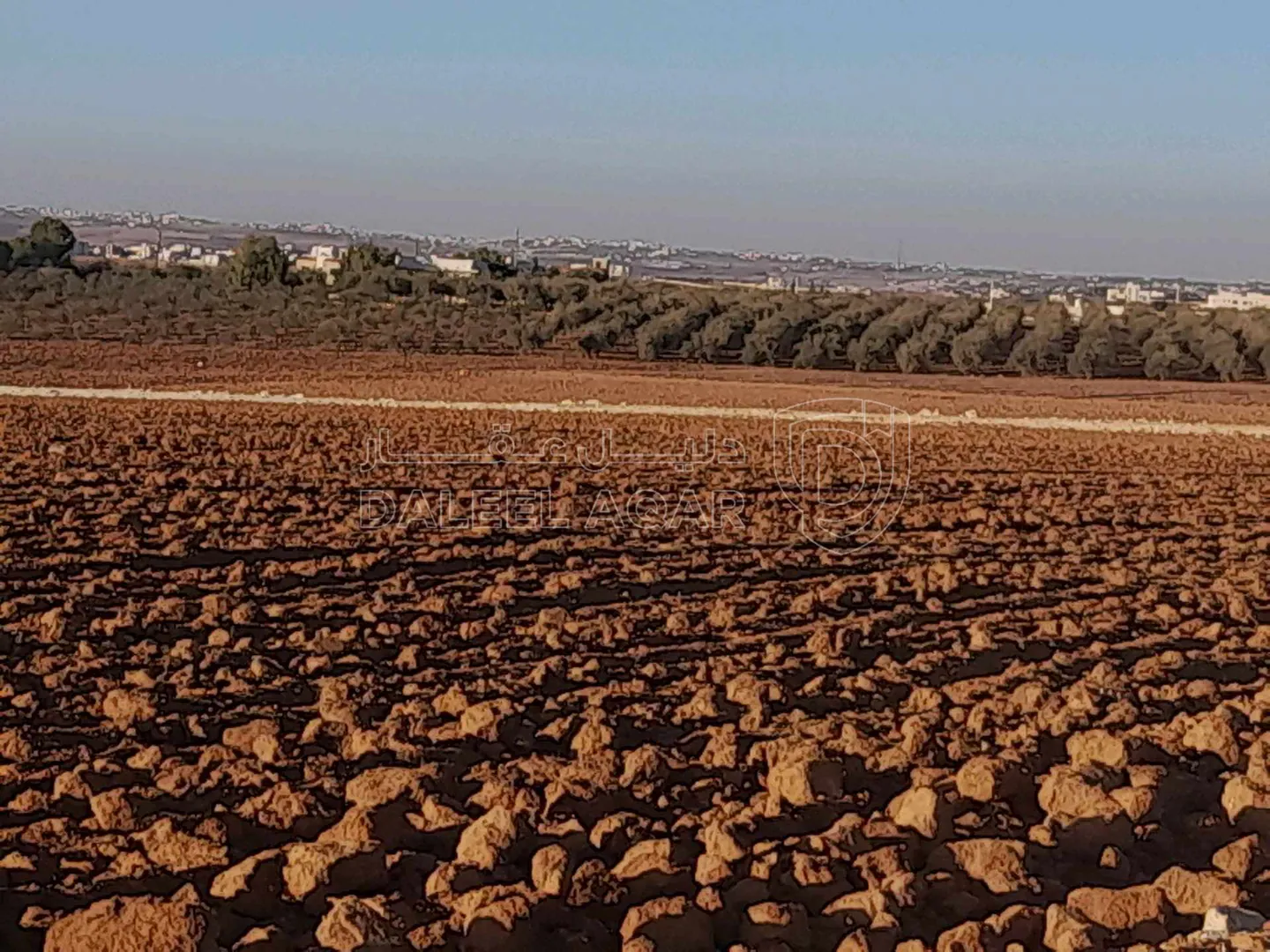 أرض في ارض للبيــع من المالك مباشرة حدب حوارة الوسطى  - 43,000 دأ - صورة 7