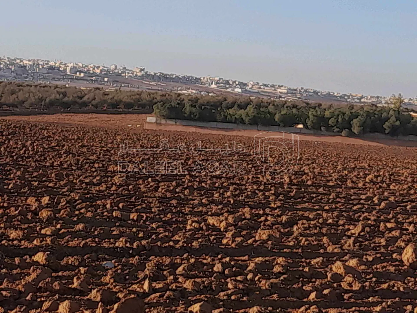 أرض في ارض للبيــع من المالك مباشرة حدب حوارة الوسطى  - 43,000 دأ - صورة 17